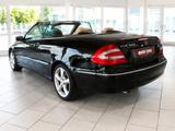 Mercedes-Benz CLK 320 Cabrio Autom.*Nur 106TKM*Leder beige* - Mercedes-Benz CLK 320 Gebrauchtwagen