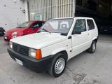 Fiat Panda 1100 i.e. cat Young - Fiat Panda Young mit Benzin-Antrieb