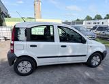 Fiat Panda 1.1 8V Active - Fiat Panda: Active