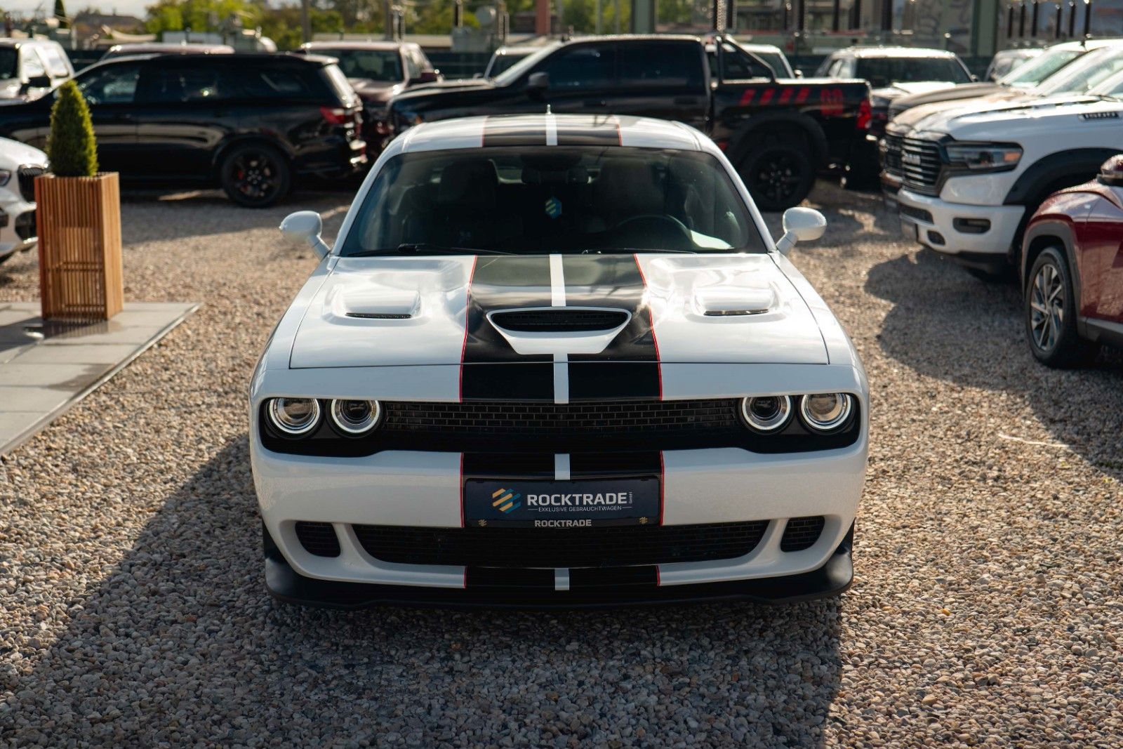 Fahrzeugabbildung Dodge Challenger 6.4 V8 SRT 392 R/T SCAT PACK LineLock