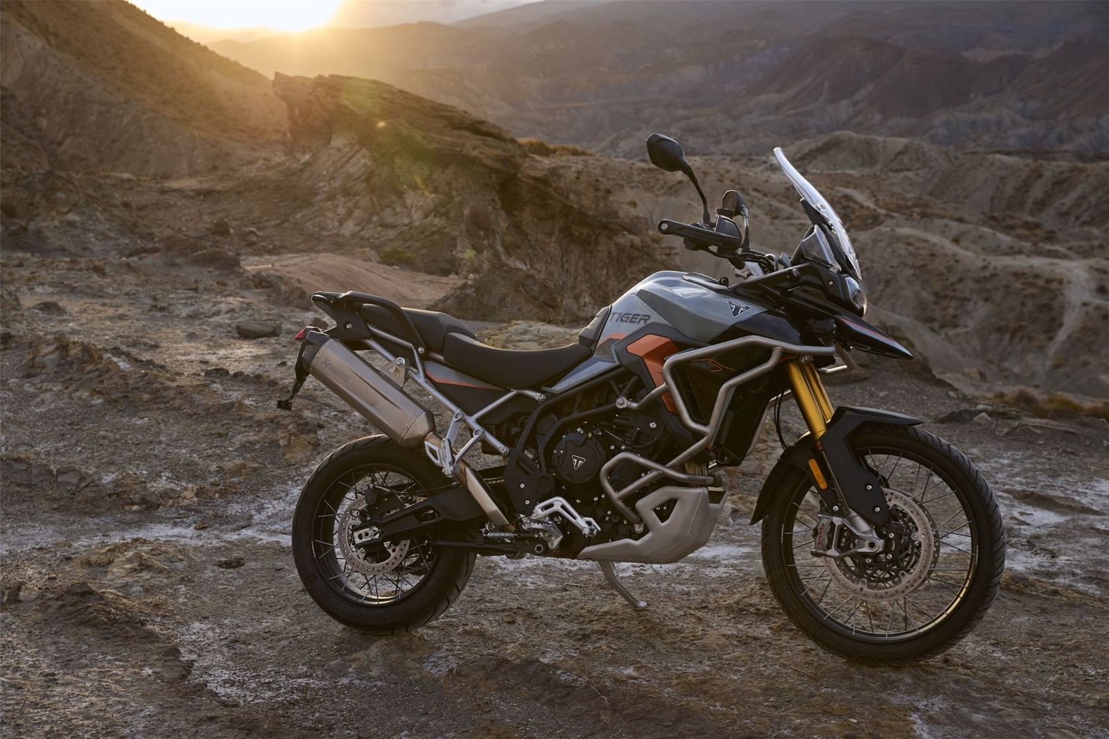 Fahrzeugabbildung Triumph Tiger 900 Desert Edition
