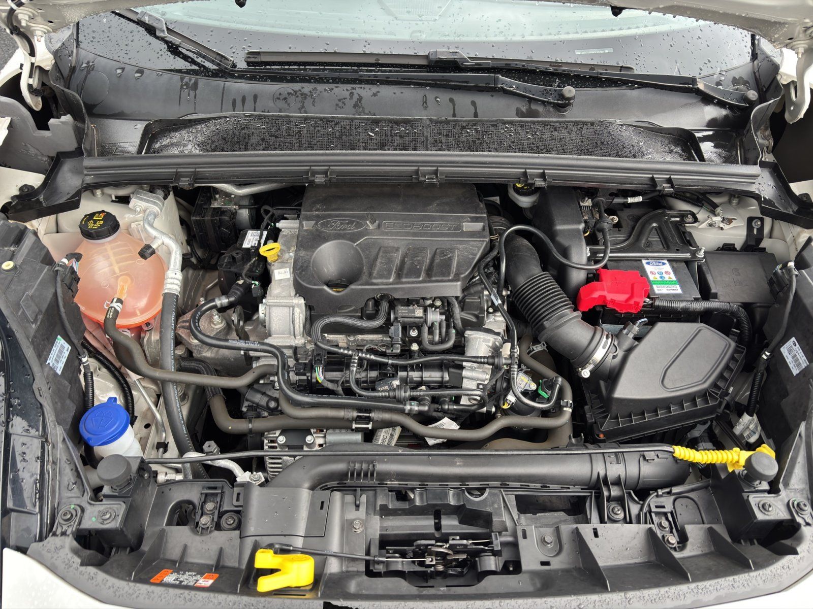 Fahrzeugabbildung Ford Puma  ST-Line Vignale