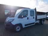 Fiat Ducato Maxi Kipper Doppelk. 35 140 L4 P - Fiat Kastenwagen hoch + lang Ducato maxi