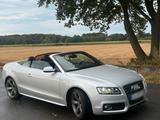 Audi A5 Cabrio, quattro, TFSI 2.0, sehr ge... - Audi Cabriolet mit Benzin-Antrieb: Cabrio, Automatik