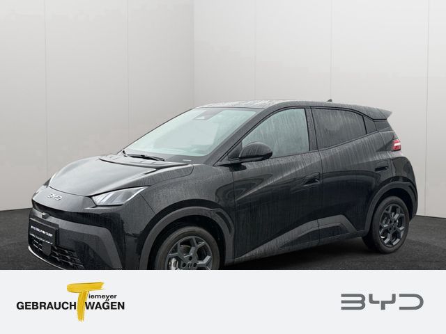 BYD DOLPHIN SURF Comfort Übergabe nach 10.000 KM