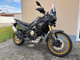 VOGE DS800X RALLY E5+ Black Knigth/ White blue - VOGE 800 Rally