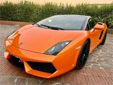 Lamborghini Gallardo Bicolore Serie Speciale - Lamborghini Gallardo Gebrauchtwagen