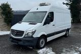 Mercedes-Benz Sprinter II Kasten 313/CDI Kühlkasten - Mercedes-Benz Sprinter 313 cdi