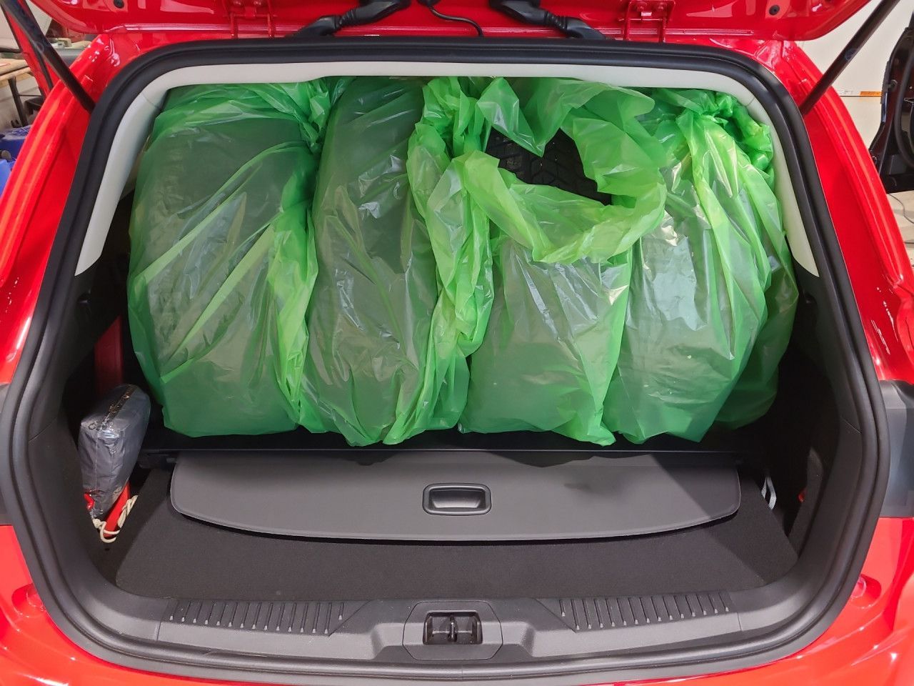 Ford Focus - Bild 14