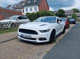 Ford mustang Gt 5.0 - Ford Aerostar Gebrauchtwagen
