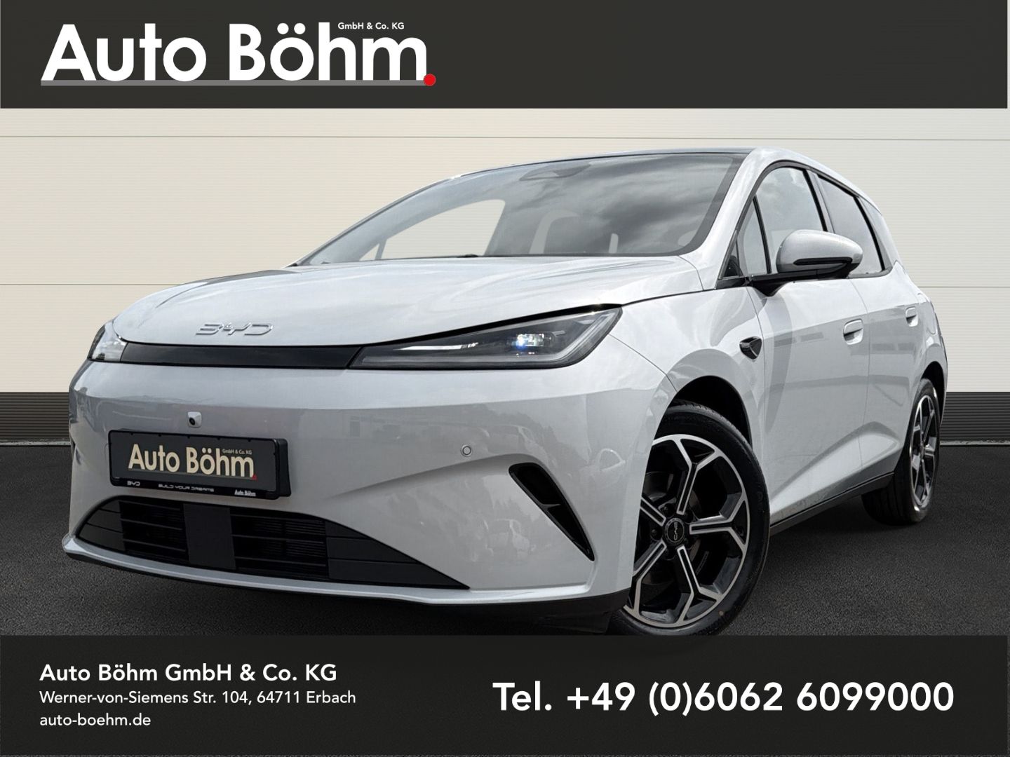 BYD DOLPHIN