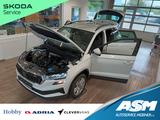Skoda Karoq Selection 1.5TSI*AHK-VORBER*LED*R-KAM*TEMP - Skoda Karoq: Selection
