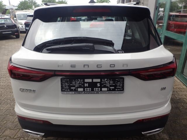 Fahrzeugabbildung DFSK Fengon 600 Premium El. Panodach digitales Cockpi