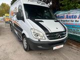 Mercedes-Benz Sprinter II Kasten 310/311/313/314/316 CDI - Mercedes-Benz Sprinter aus 2009: 313 Cdi