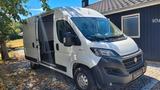 Fiat Ducato - Fiat Ducato von privat