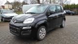 Fiat Panda  1,2 8V Klimaanlage - Fiat Panda: Schwarz