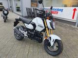 Honda MSX125 + 6 Jahre Garantie - NEU - 0KM - HONDA WIESBADEN