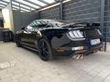 Ford Mustang 5.0 V8 GT 55 year edition automatik - Ford Mustang: Edition