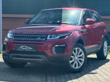 Land Rover Range Rover Evoque Pure +TMPMT+LEDER+NAVI+ - Land Rover Range Rover Evoque mit Diesel-Antrieb
