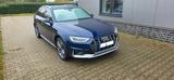 Audi A4 Allroad 45 TFSI / Matrix / 360° / Abst.-Temp.