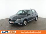 Skoda Fabia 1.0 TSI Style*LIMITER*CAM*PDC*SHZ*KLIMA*