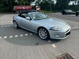Jaguar XK 4.2 Cabrio Scheckheftgepflegt, 2. Hand - Jaguar XK: Roadster