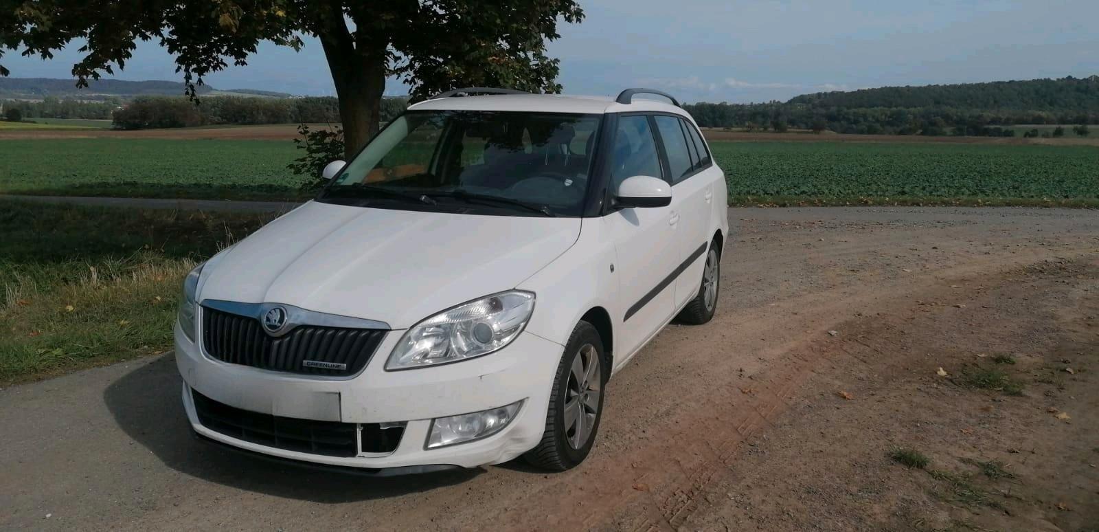 Skoda Fabia 2013 — photo 10