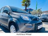 Fiat Panda Sport - Fiat Panda aus 2022