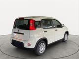 Fiat Panda Hybrid *70PS*DAB*Klima*PDC - Fiat Panda Vorführfahrzeuge