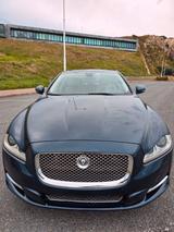 Jaguar XJ Luxury 3.0 V6 Diesel S Luxury - blaue Jaguar XJ