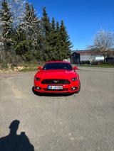 Ford Mustang 2.3 EcoBoost - - Ford Mustang: Rot