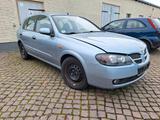 Nissan Almera N16 2,2 dci Export oder Bastler - Nissan Almera mit Diesel-Antrieb