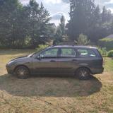 Ford Focus Kombi 1,6i/74kW/101PS. ZETEC-SE. - Ford Focus aus 2003: Kombi