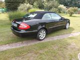 Mercedes-Benz CLK 200 KOMPRESSOR ELEGANCE Elegance - Mercedes-Benz CLK 200: Kompressor Elegance