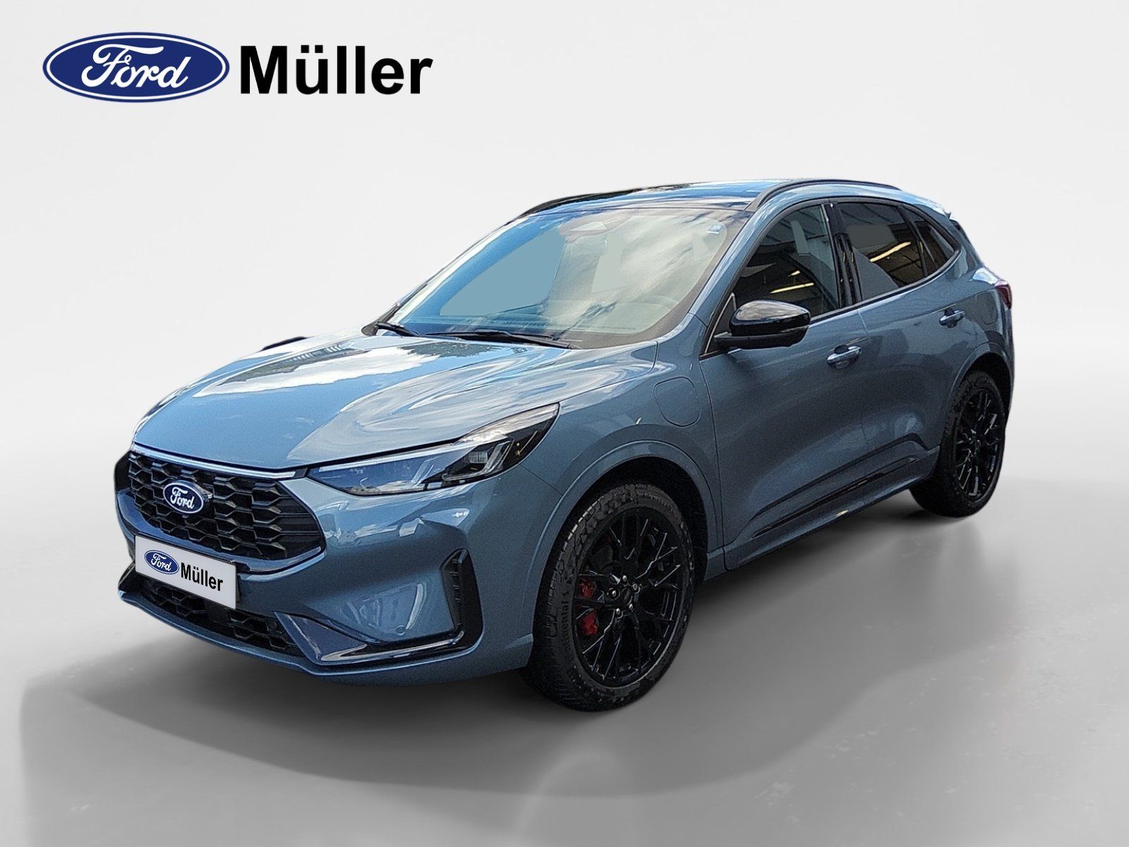 Ford Kuga 2,5l Duratec Plug-in-Hybrid 178 kW (243 PS