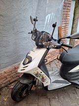 Piaggio Tph 125 - Angebote