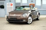 Volkswagen Beetle Cabriolet 70´s Design*Bi-Xe*Navi*PDC*SHZ* - mit Diesel-Antrieb: Braun, Cabrio