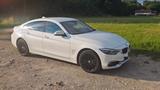 BMW 430i x-Drive Gran Coupé Luxury Line  - BMW 430 Gran Coupé