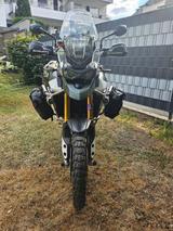 Triumph Tiger 900 Rally Pro  schwarzer Rahmen Khaki  RAR - Triumph Tiger 900 Rally Pro