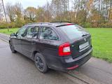 Skoda Octavia Combi 1.4 TSI Ambiente Ambiente - Skoda Octavia Ambiente mit Benzin-Antrieb