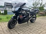 Suzuki gsxr 1100 w - Offers matching your search criteria