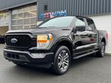 Ford F150 2022er STX4 2.7 V6 Ecoboost CrewCab - Ford F 150: 4.6