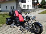 Andere Triketec C2 - BENZIN TRIKE