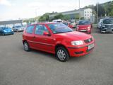 Volkswagen Polo 1.4 44kW - Volkswagen Polo aus 2000