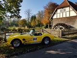 Cobra 427 MKIV - gebrauchte Cobra Cabrios