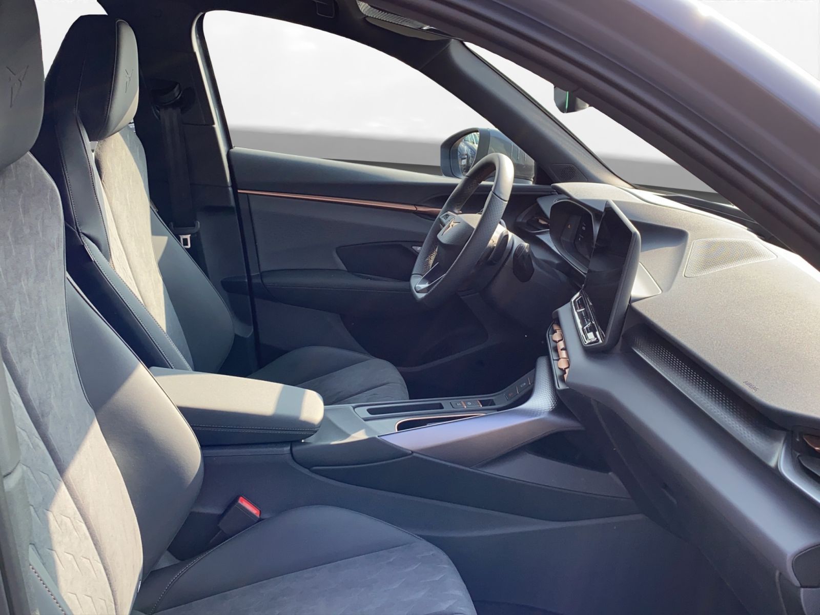 Cupra Terramar - Bild 20