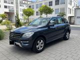 Mercedes-Benz ML 350 BlueTEC 4MATIC - AHK - Mercedes-Benz ML 350 in Nürnberg