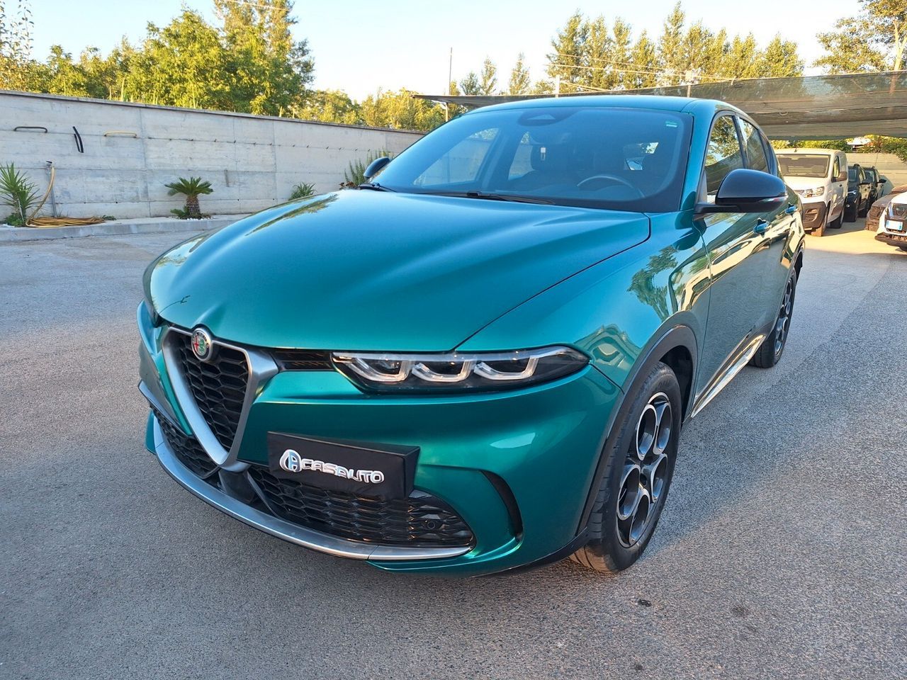 Other Alfa Romeo Tonale 1.6 diesel 130 CV TCT6 Sprint