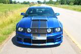 Ford Mustang 5 GT 2006 4,6L V8 305 PS | Shelby Look - Ford Mustang aus 2006: Coupe