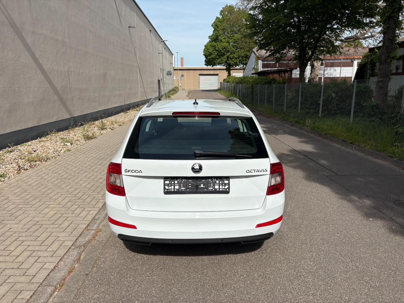 Skoda Octavia 2015 — photo 8